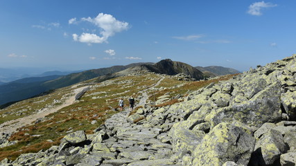 View from Mount Chopok in Sunny Day, ski resort Jasna, Low Tatras National Park, Slovakia