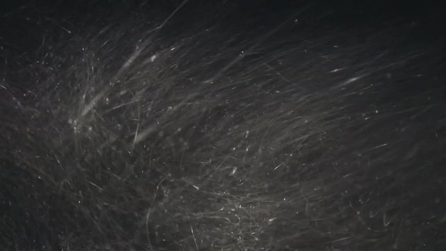 The blizzard in the windshield