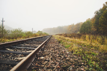 The old thrown track. Rust The forgotten road in the woods. Forest. Autumn and Fog. A mystical place.