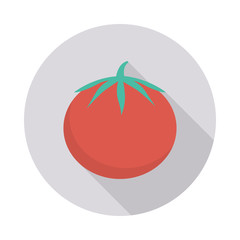 tomato   vegetable   food