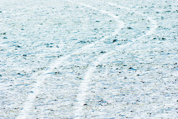 Winter field