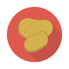 potato   vegetable   food