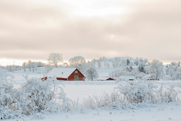 Farmhouse in an idyllic winter landscape with snow and frost