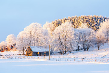 Winter landscape with an old barn