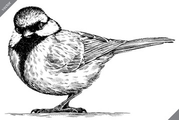 black and white engrave isolated tit vector illustration © Turaev