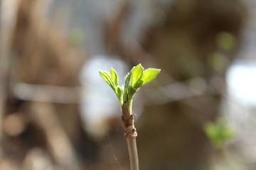 ddkskfdjklfsjkfldsjlfkdsjkflds