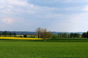 ddkskfdjklfsjkfldsjlfkdsjkflds