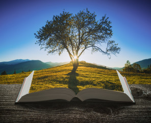 Lonely tree in a mountain valley on the pages of book