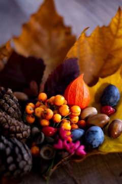 Herbstkomposition