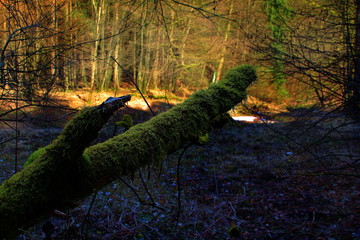 ddkskfdjklfsjkfldsjlfkdsjkflds