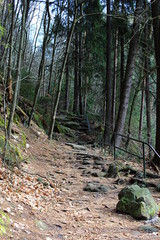 Fototapeta premium ddkskfdjklfsjkfldsjlfkdsjkflds