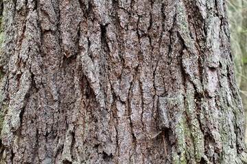 sdöfjsldfjdilfjdkljd