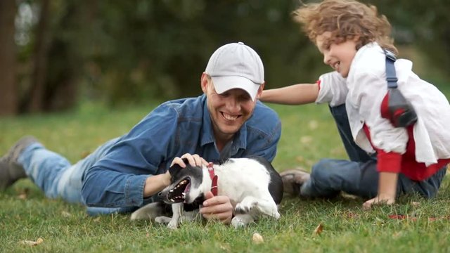 Carefree family spending time together on meadow. Father and son teenager play with their dog