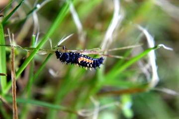 sdöfjsldfjdilfjdkljd