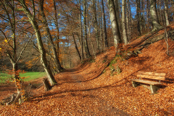 Wanderweg im berühmten Neandertal bei Mettmann,Nordrhein-Westfalen,Deutschland