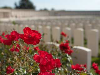 Tyne Cot Cemetery