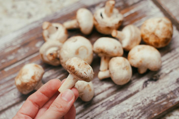 Fresh raw champignon mushrooms on wooden cutting board background. Hand holding a single mushroom.