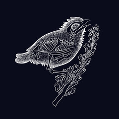 Obraz premium Vector illustration set of moon phases. Different stages of moonlight activity in vintage engraving style