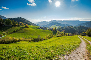 Countryside in rural Slovenia, green pasture and blue sky
