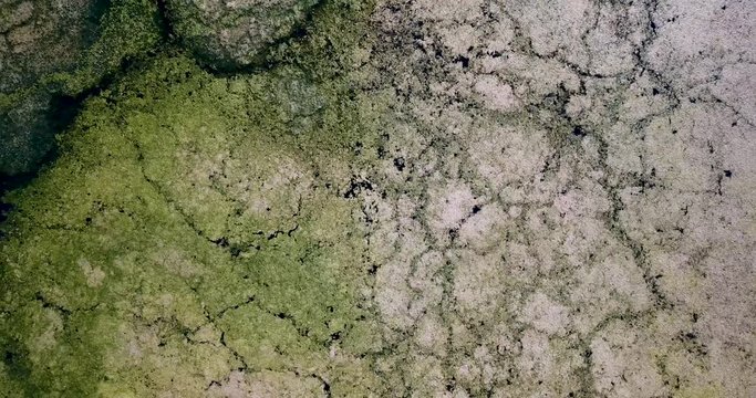 Unique earth-like continent shape flora captured in Blue Eye Saranda / Sarande , Delvina / Delvine , Albania -4k 