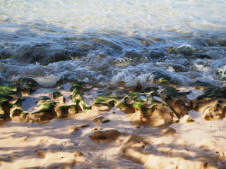 ocean wave on the rocks