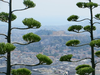 View of the Acropolis in Athens between two trees