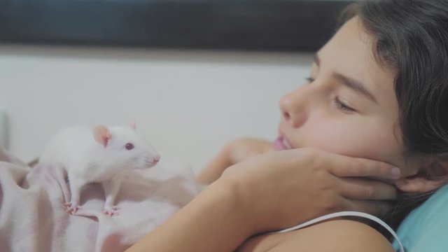 little lifestyle girl is played on a bed with a white homemade handmade rat mouse. funny video rat crawling over a little girl. girl and white mouse pet concept