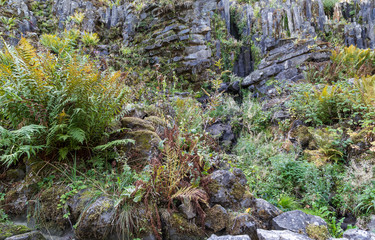 Stone wall and stone formation  on a mountain in the rainforest.