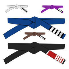Brazilian Jiu Jitsu adult belts rank system. Vector illustration isolated on white. Bjj white blue purple brown and black belt with stripes.