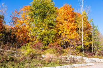 Don Valley Parks in Fall