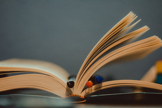 Libro abierto con bol&iacute;grafos en el