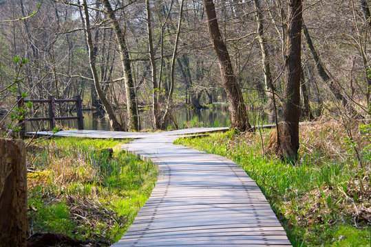 plankway through forest around briese river near berlin, germany in winter