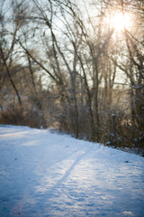 The road is covered with snow against the background of trees standing along the road on a sunny and frosty morning. natural concept