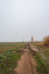 Rural road in fog in autumn morning