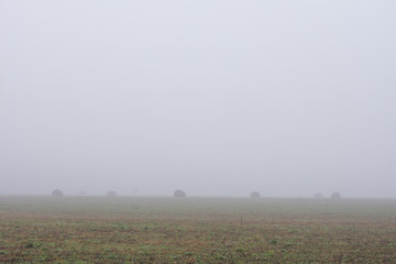 sloping field in thick fog on an autumn morning