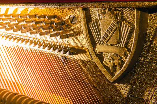 pegs and strings of the old piano