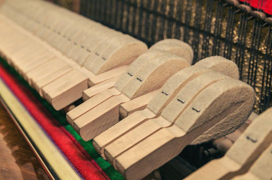 pegs and strings of the old piano