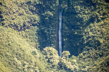 Auf dem Kalepa Ridge Trail, Kauai, Hawaii