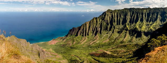 Auf dem Kalepa Ridge Trail, Kauai, Hawaii