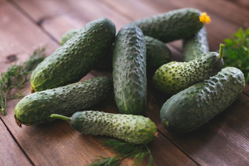 Fresh tasty cucumbers on a rustic table. Healthy food for the whole family