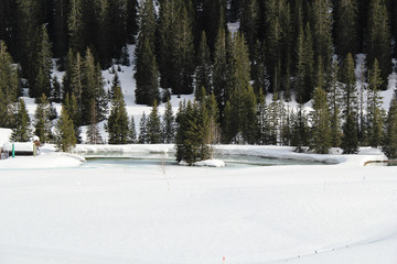 Winter Lake with Pine Tree Island and Snow