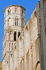 Fototapeta premium Le rovine dell'abbazia di San Pietro di Jumièges, Normandia, Francia