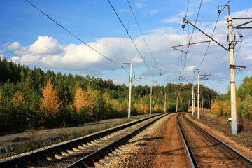 Obraz na płótnie Canvas Railway among trees