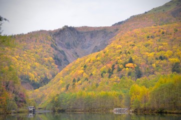 Natural landscape view of the autumn red-orange color forest with the mountain hill in Kamikochi,Matsumoto,Japan