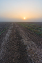 Fototapeta premium Sunrise in the fog over the road in the field