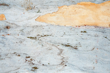 Wooden texture as background