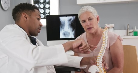 Portrait of young african-american doctor showing model of back spine to patient. Close up of senior woman visiting chiropractor - Powered by Adobe