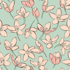 Seamless Floral Pattern in vector.