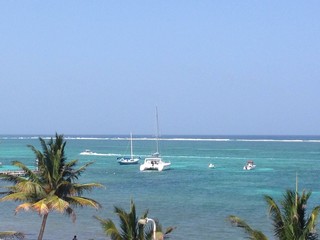 Ambergris Caye Reef