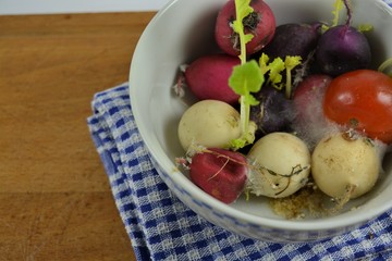 Mouldy vegetables in a small bowl on a wooden cutting board
